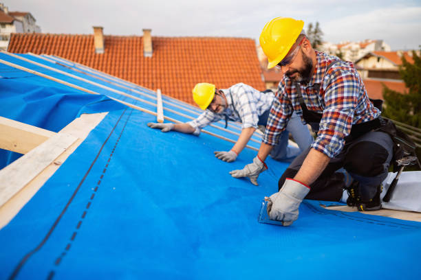 Professional Roofing Contractor in Manistique, MI