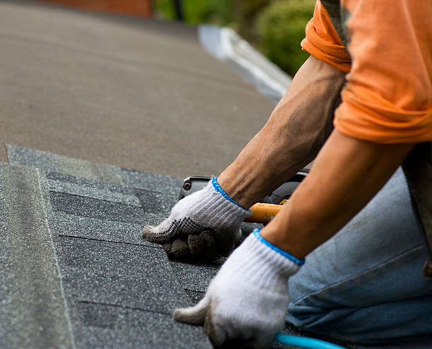 Best Gutter Installation and Roofing  in Manistique, MI