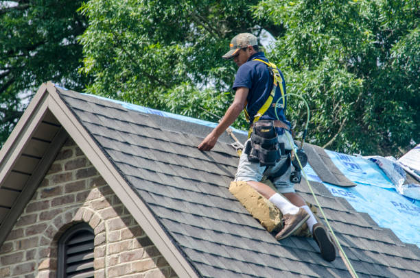 Best Flat Roof Repair Services  in Manistique, MI